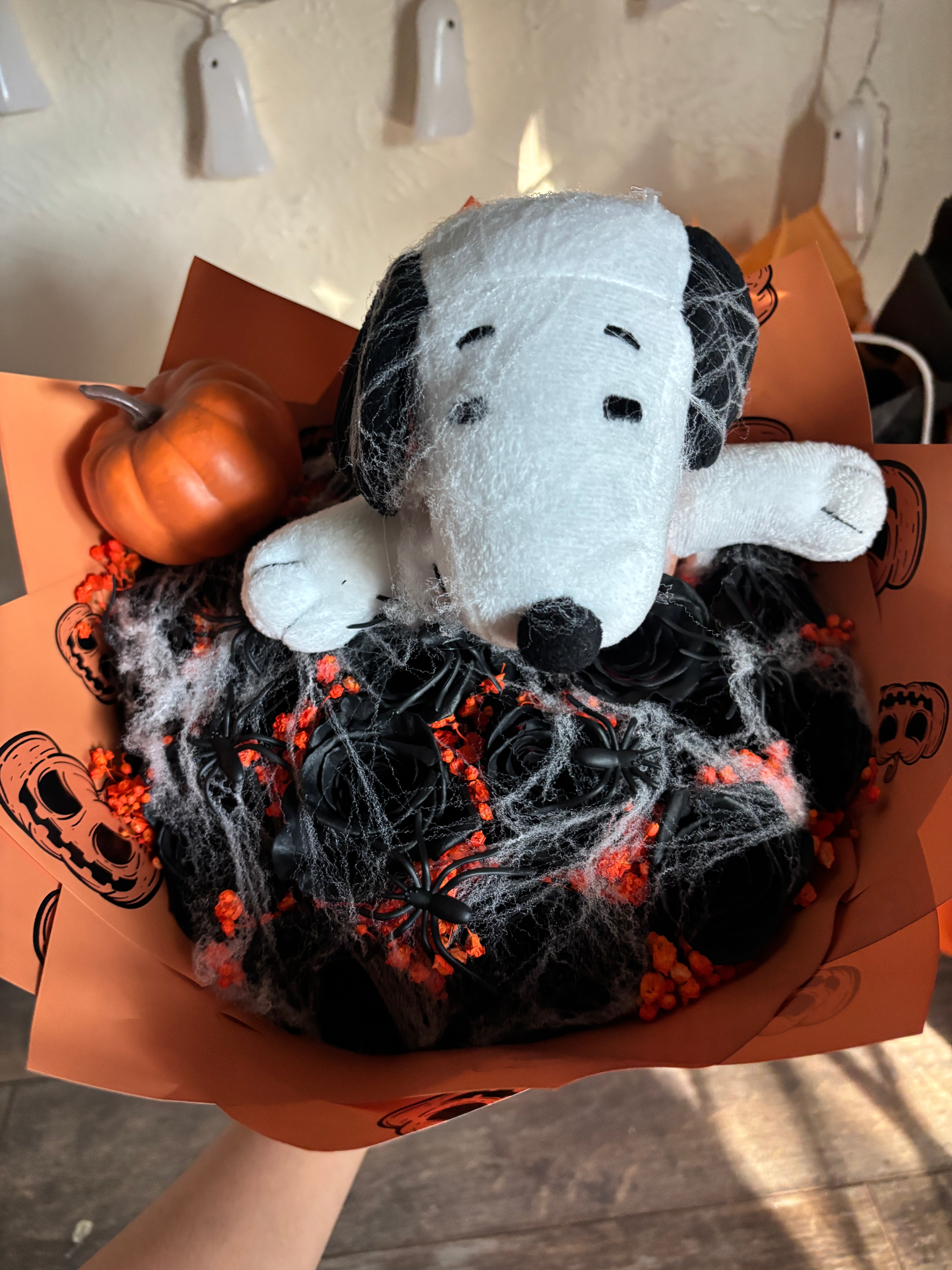 12 rose Black roses snoopy pumpkin🎃