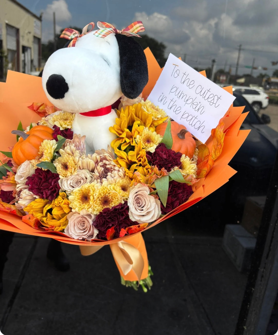Snoopy Fall Bouquet🍂🎃🤎