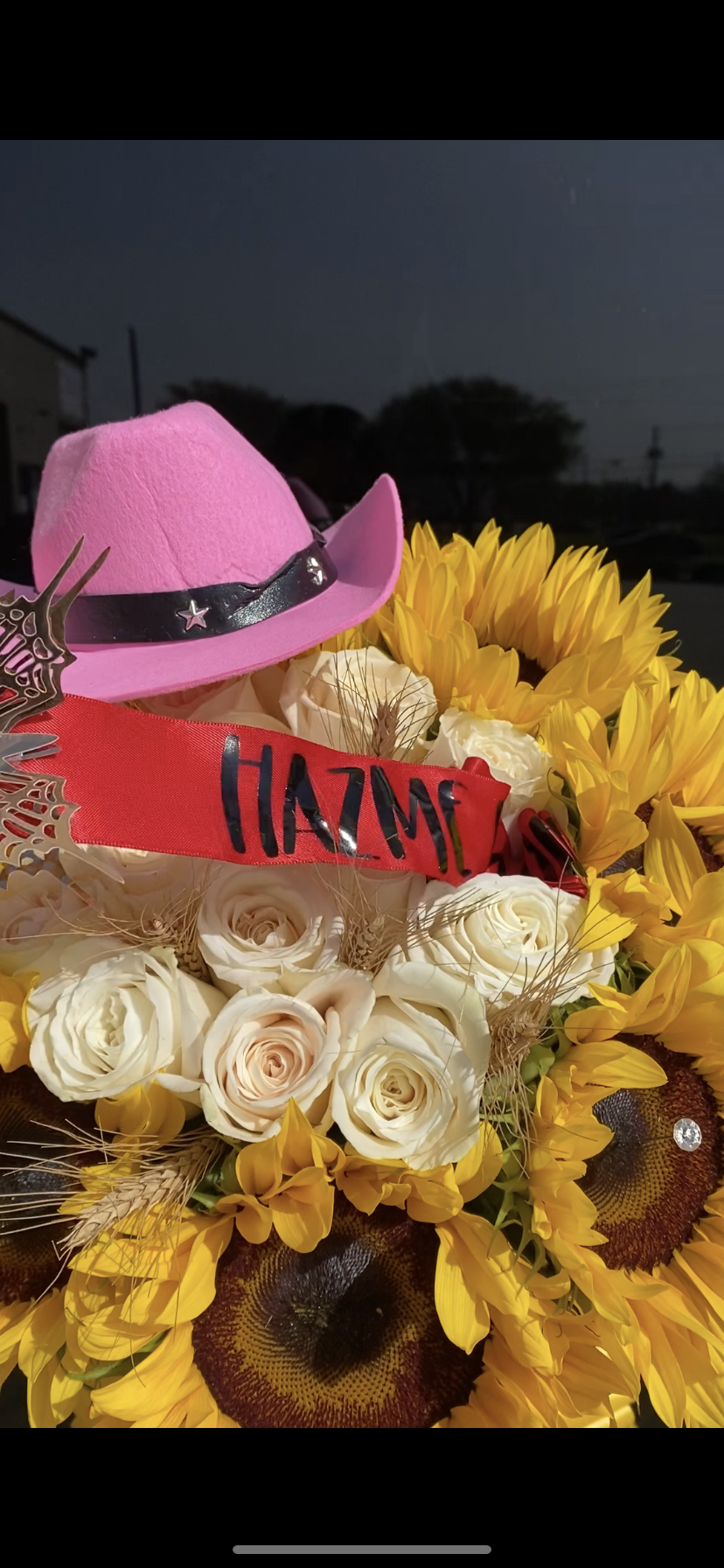 Rodeo Proposal Vaquero with butterfly pull 🤠🤎