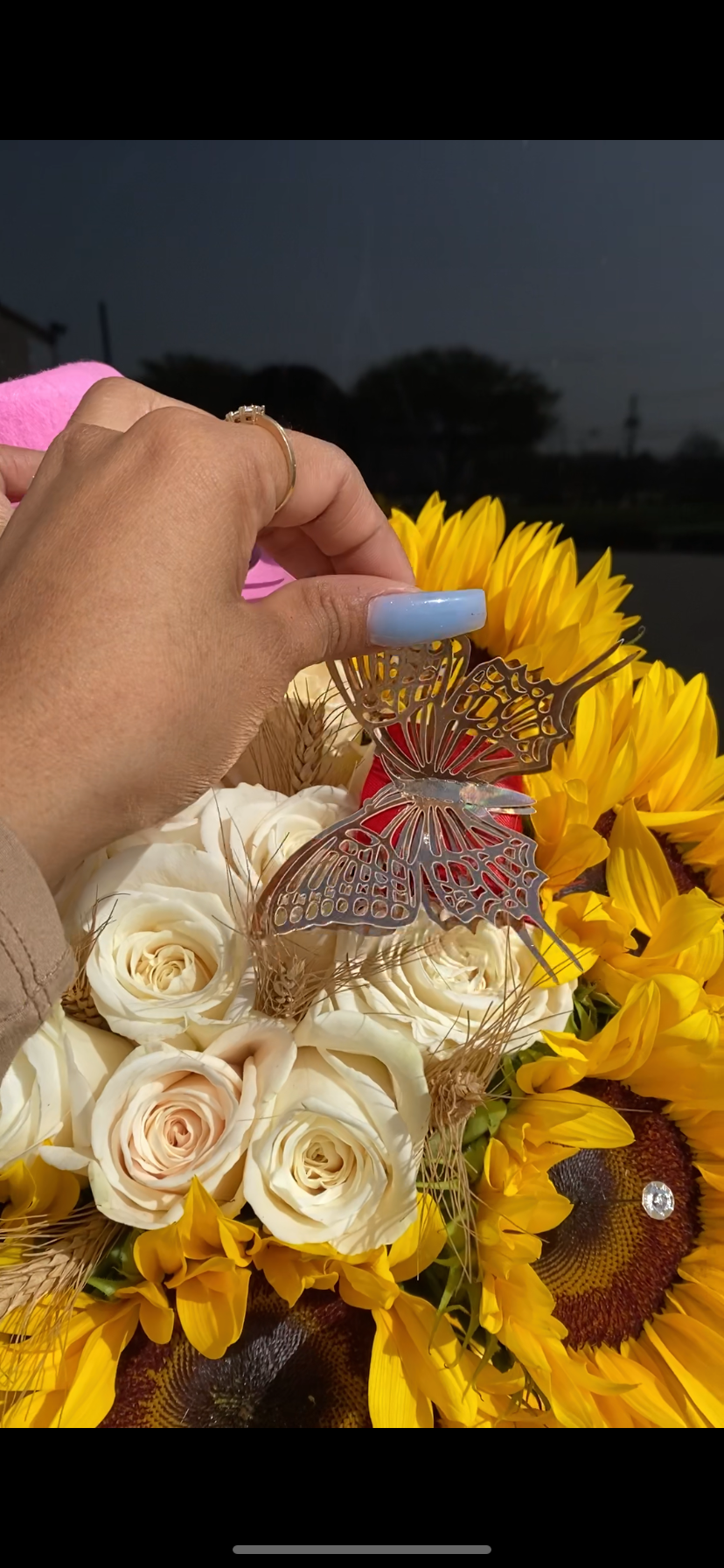 Rodeo Proposal Vaquero with butterfly pull 🤠🤎