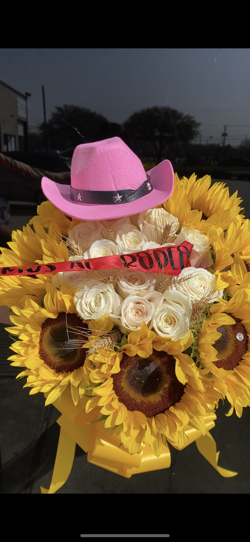 Rodeo Proposal Vaquero with butterfly pull 🤠🤎