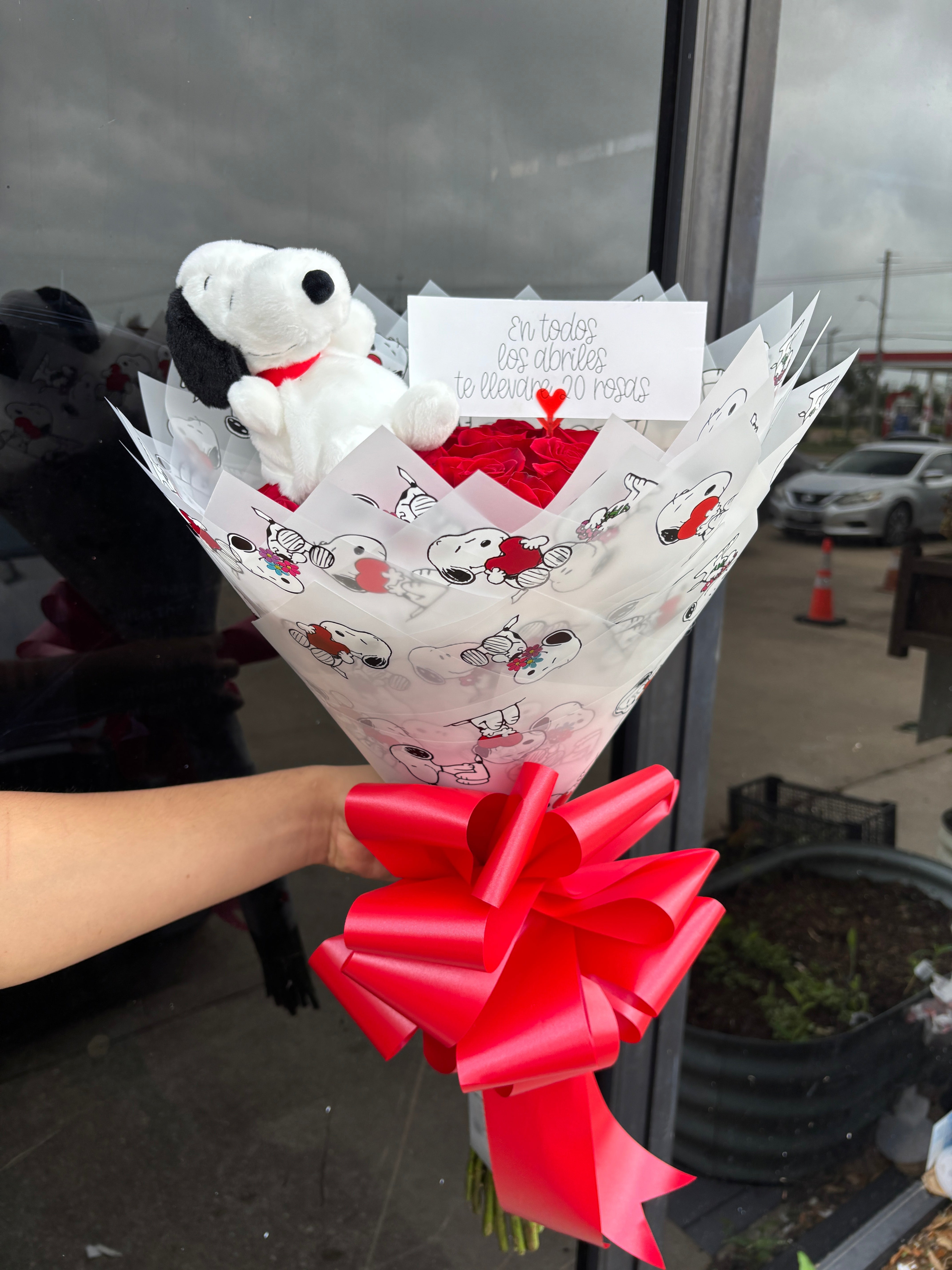 Snoopy with 20 red roses ❤️