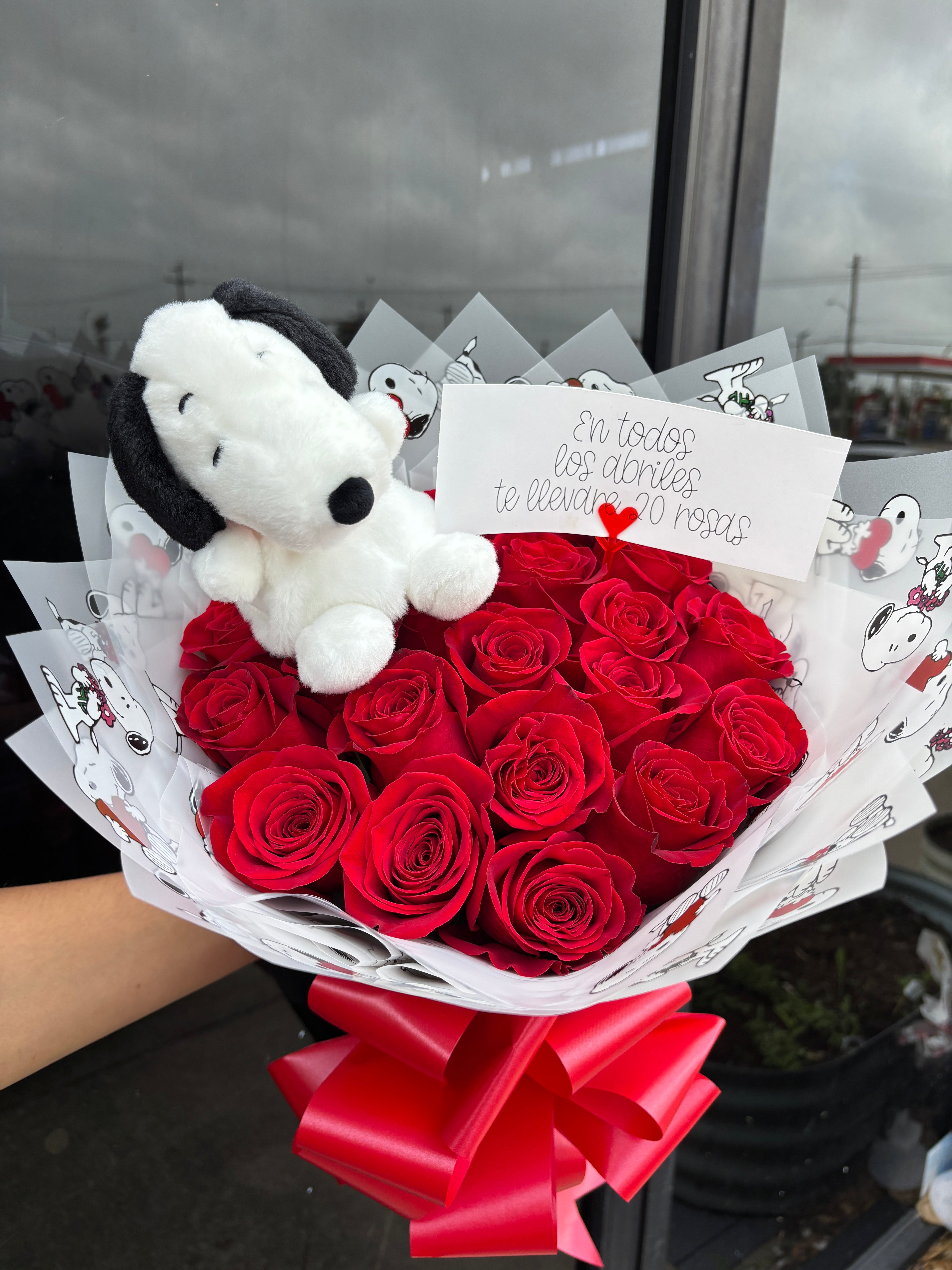 Snoopy with 20 red roses ❤️