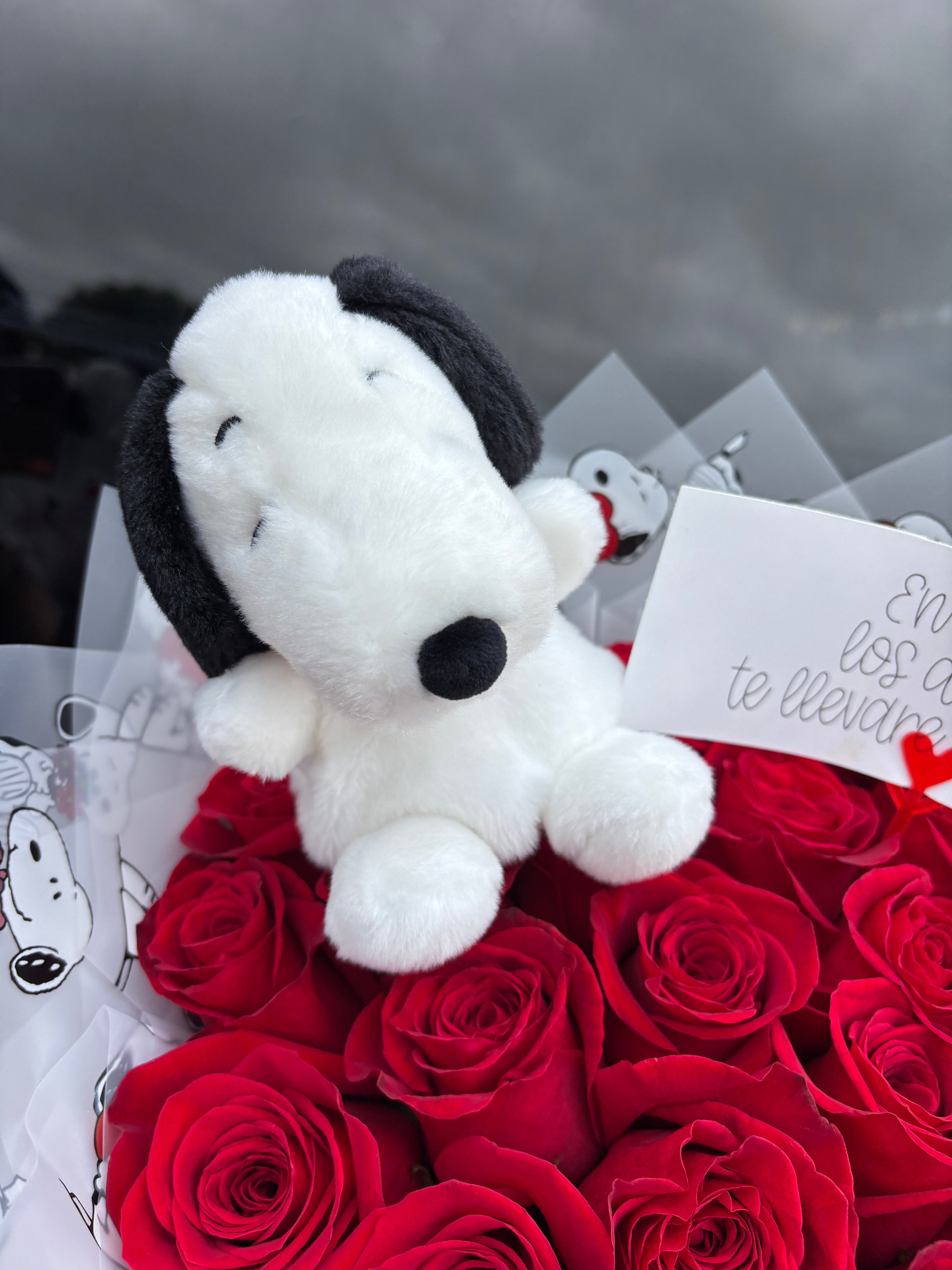 Snoopy with 20 red roses ❤️